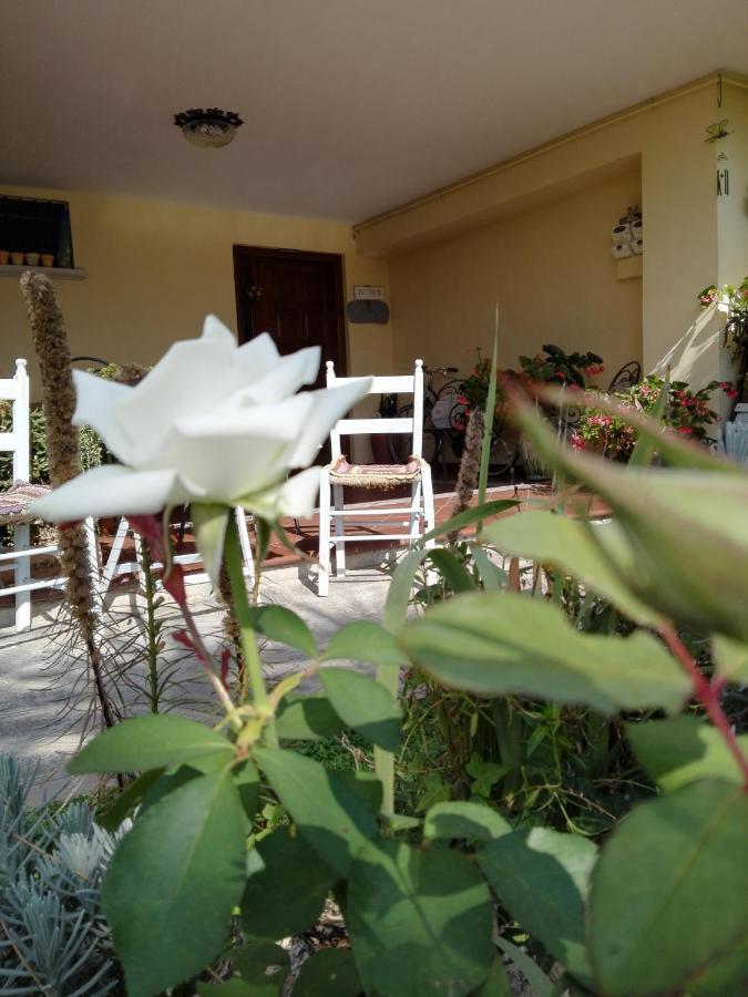 Casa Iovara Telese Extérieur photo